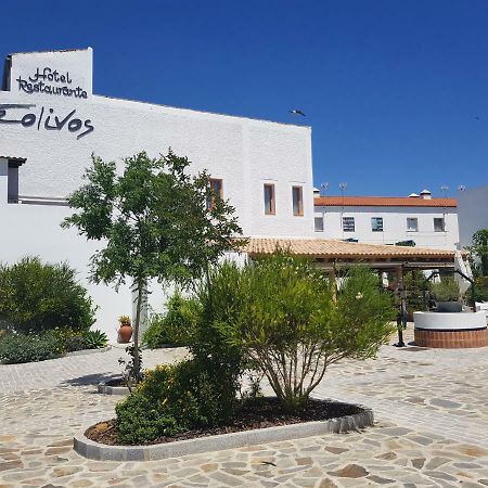 Hotel Entreolivos 엘페드로소 외부 사진