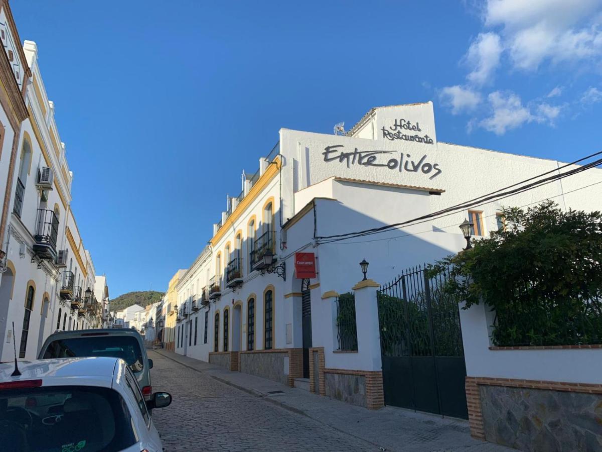 Hotel Entreolivos 엘페드로소 외부 사진