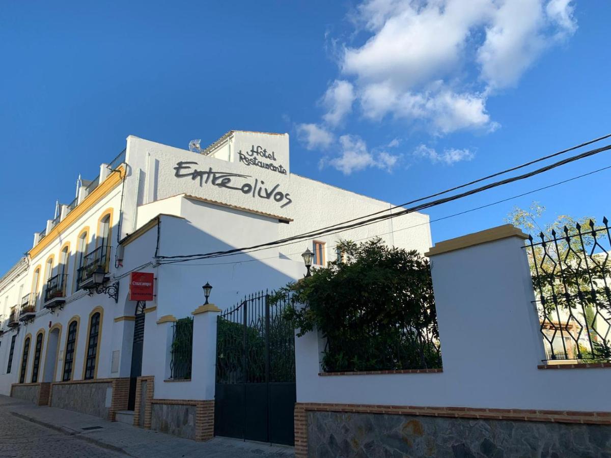 Hotel Entreolivos 엘페드로소 외부 사진