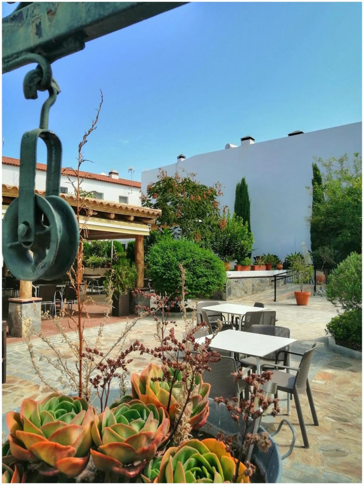 Hotel Entreolivos 엘페드로소 외부 사진