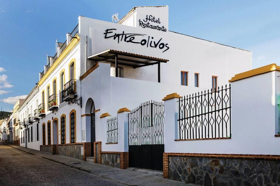 Hotel Entreolivos 엘페드로소 외부 사진