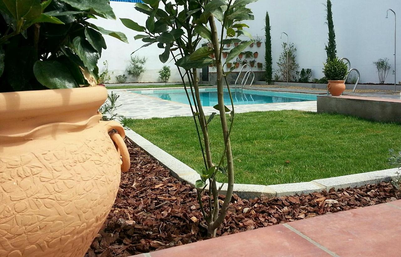 Hotel Entreolivos 엘페드로소 외부 사진