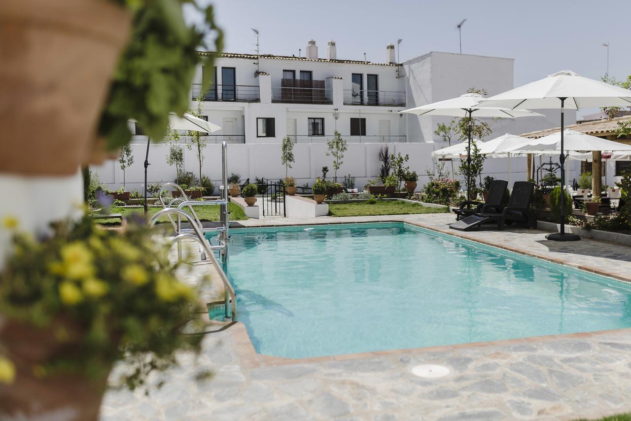 Hotel Entreolivos 엘페드로소 외부 사진