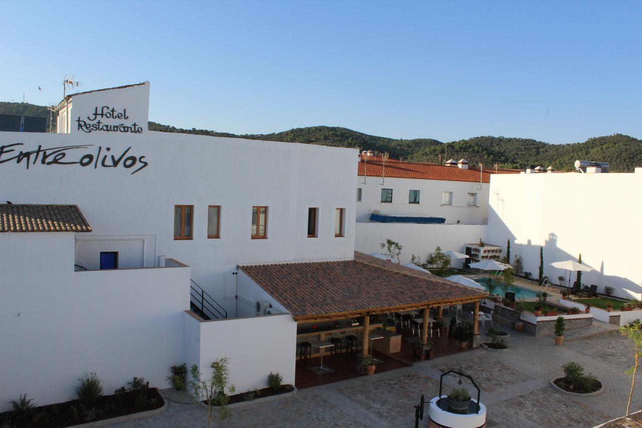 Hotel Entreolivos 엘페드로소 외부 사진
