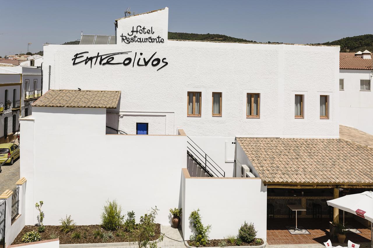 Hotel Entreolivos 엘페드로소 외부 사진