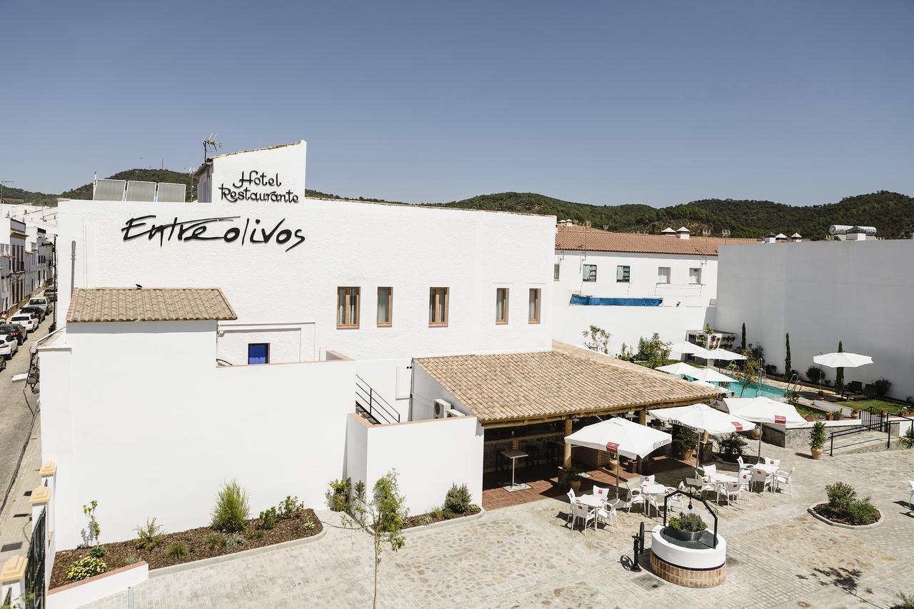 Hotel Entreolivos 엘페드로소 외부 사진