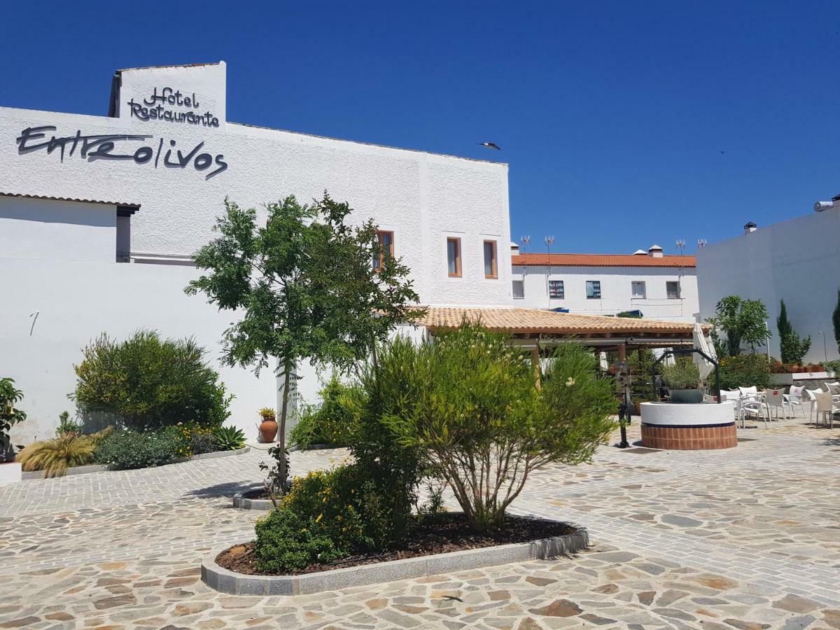 Hotel Entreolivos 엘페드로소 외부 사진